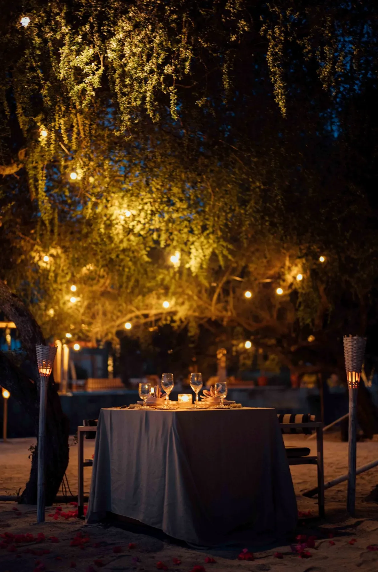 Romantic Seaside Dinner