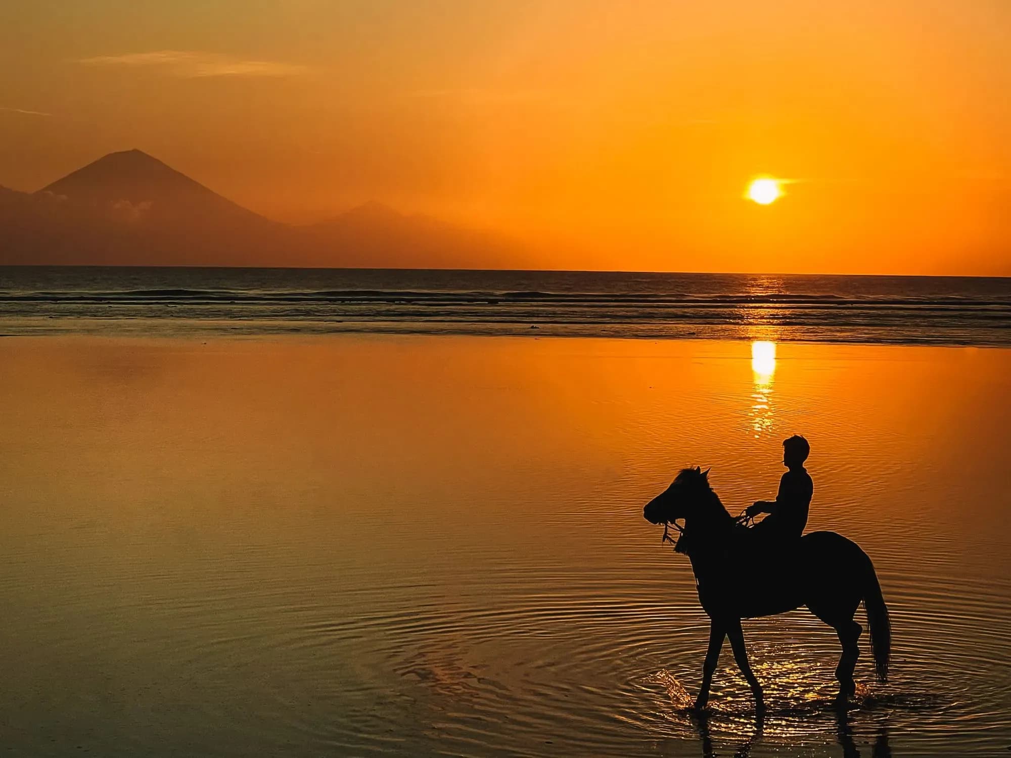 Horse Riding Hotel Lumi Gili Trawangan